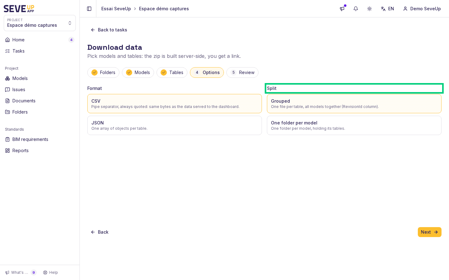 Options step: CSV or JSON format and grouped or one folder per model split